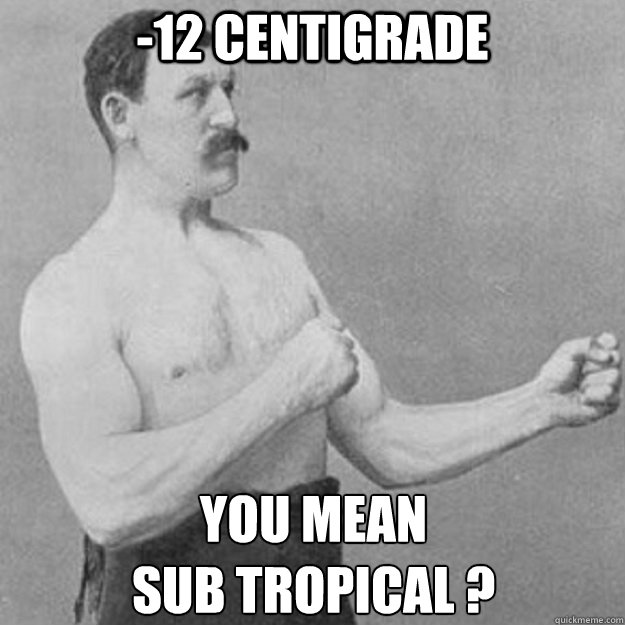 -12 Centigrade You mean 
Sub Tropical ?  overly manly man