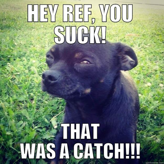 HEY REF, YOU SUCK! THAT WAS A CATCH!!! Skeptical Dog