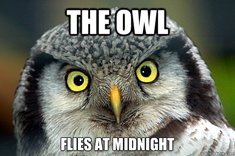The Owl Flies at Midnight - The Owl Flies at Midnight  Role-playing Owl