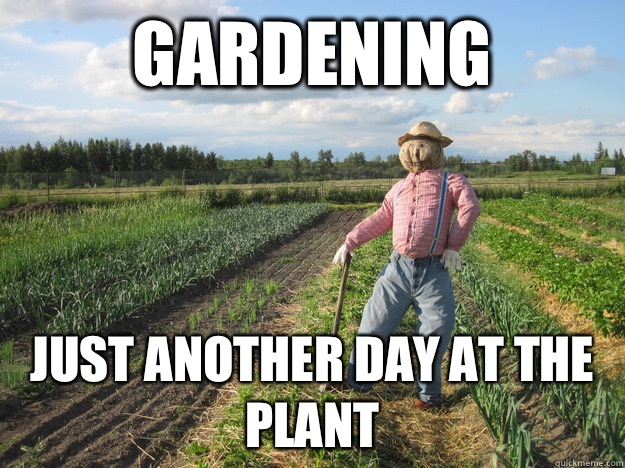 Gardening Just another day at the plant  Scarecrow