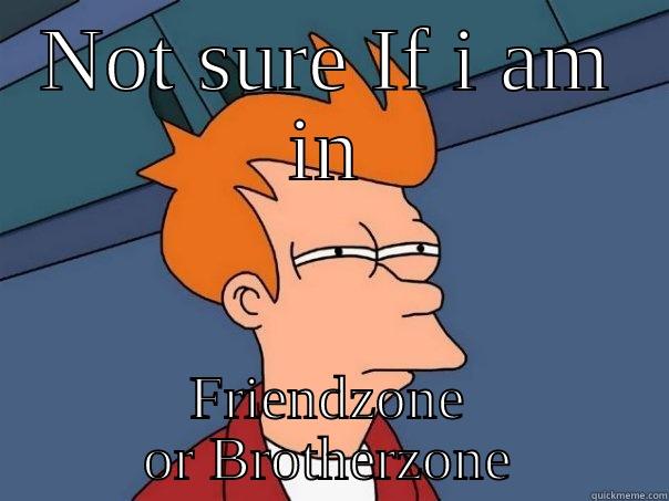 Not sure if i am in friend zone or brother zone - NOT SURE IF I AM IN FRIENDZONE OR BROTHERZONE Futurama Fry