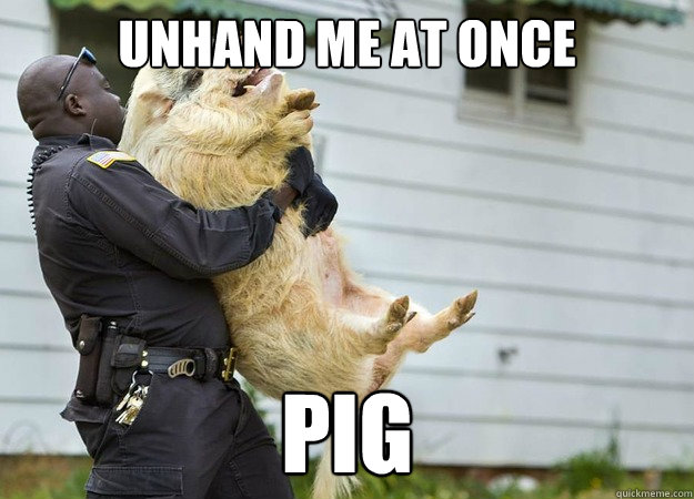 Unhand me at once pig - Unhand me at once pig  Misc