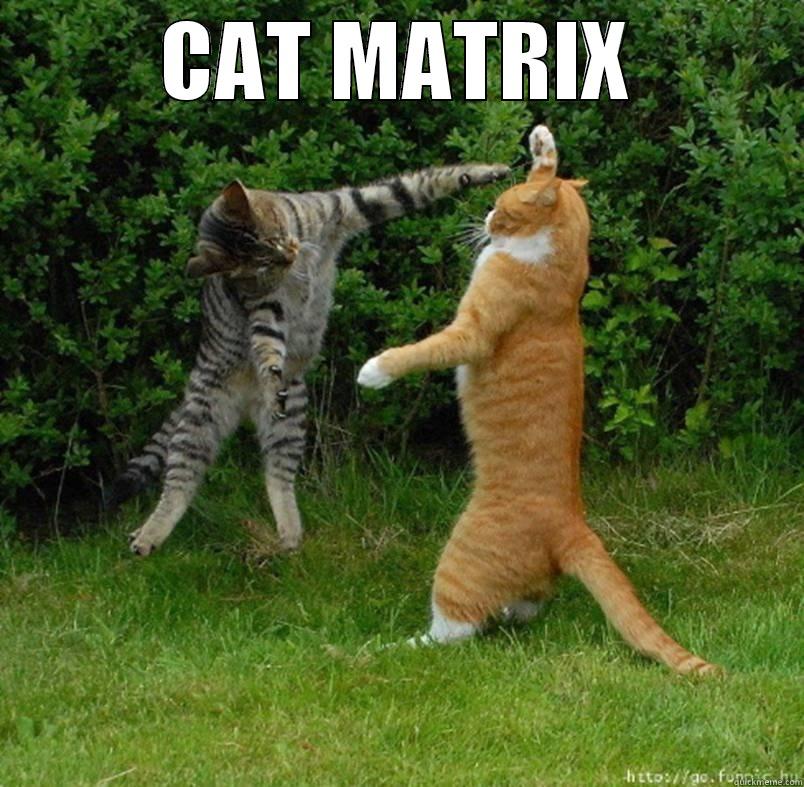 CAT MATRIX  Misc