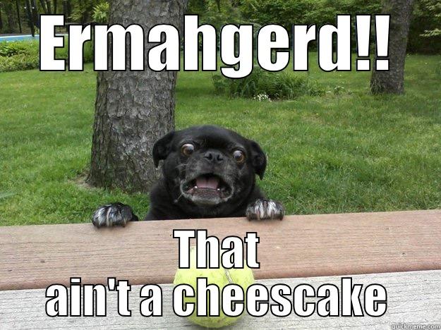 Not cheesecake - ERMAHGERD!! THAT AIN'T A CHEESCAKE Berks Dog