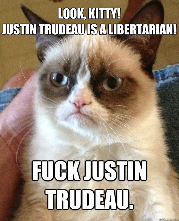 Look, Kitty! 
Justin Trudeau is a Libertarian! Fuck Justin Trudeau. - Look, Kitty! 
Justin Trudeau is a Libertarian! Fuck Justin Trudeau.  Grumpy Cat