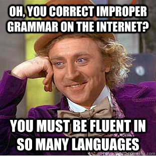 Oh, you correct improper grammar on the internet? You must be fluent in so many languages  Condescending Wonka