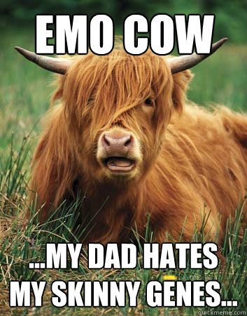 Emo Cow ...My dad hates my skinny genes...  Emo Cow