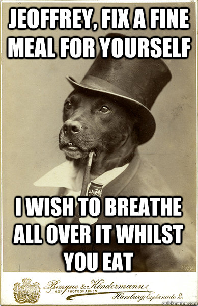 Jeoffrey, fix a fine meal for yourself I wish to breathe all over it whilst you eat - Jeoffrey, fix a fine meal for yourself I wish to breathe all over it whilst you eat  Old Money Dog