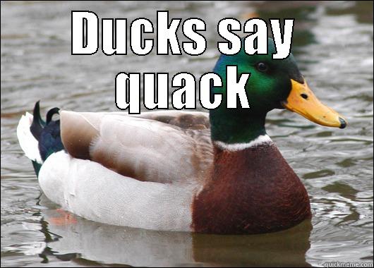 DUCKS SAY QUACK  Actual Advice Mallard