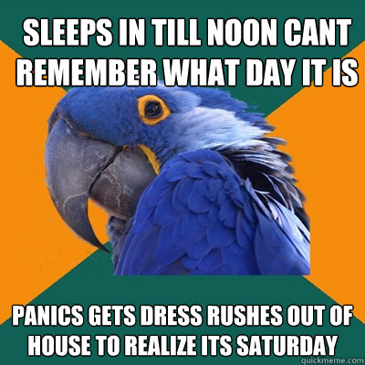 sleeps in till noon cant remember what day it is panics gets dress rushes out of house to realize its saturday  Paranoid Parrot