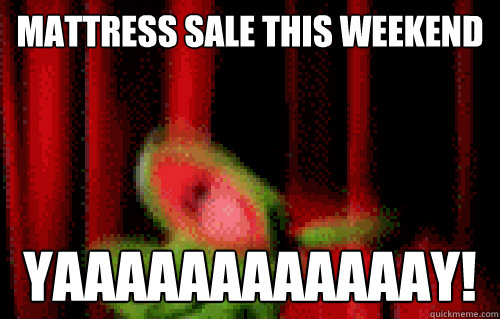 Mattress sale this weekend Yaaaaaaaaaaaay!  Easily Excited Kermit