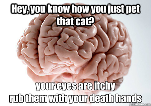 Hey, you know how you just pet that cat? your eyes are itchy
rub them with your death hands  Scumbag Brain