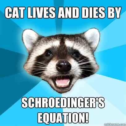 Cat lives and dies by Schroedinger's Equation!  Lame Pun Coon