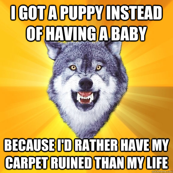 I got a puppy instead of having a baby because i'd rather have my carpet ruined than my life  Courage Wolf