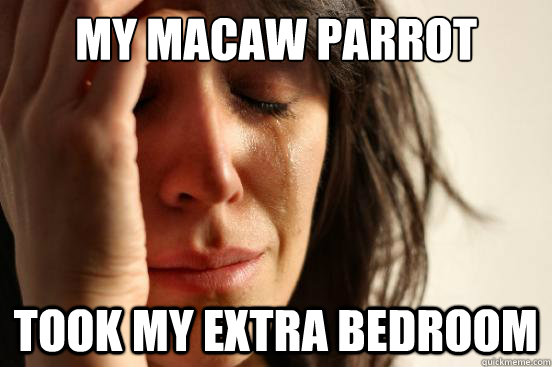 My macaw parrot took my extra bedroom  First World Problems