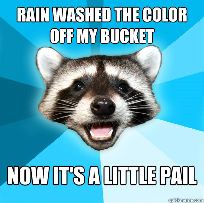 Rain washed the color off my bucket Now it's a little pail  Lame Pun Coon