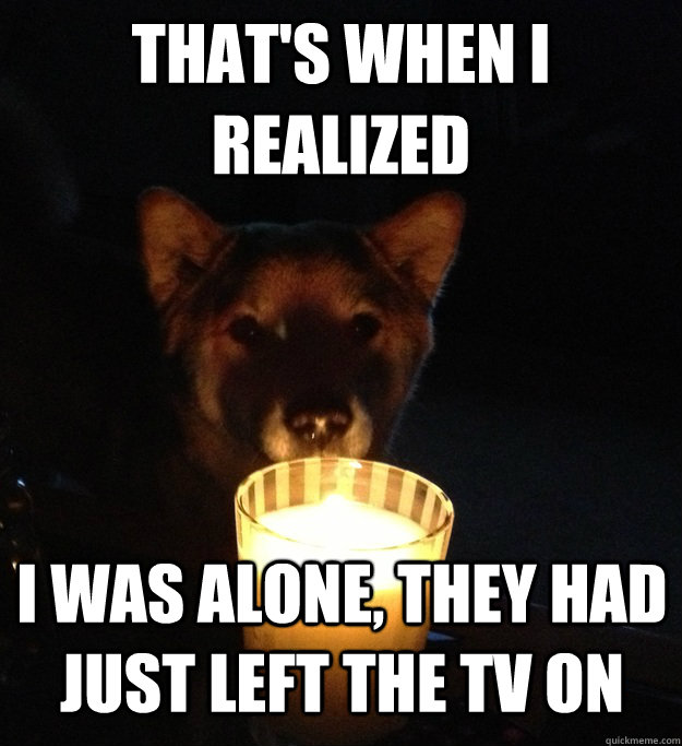 THAT'S WHEN I REALIZED I WAS ALONE, THEY HAD JUST LEFT THE TV ON  