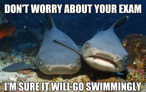 don't worry about your exam i'm sure it will go swimmingly - don't worry about your exam i'm sure it will go swimmingly  Compassionate Shark Friend