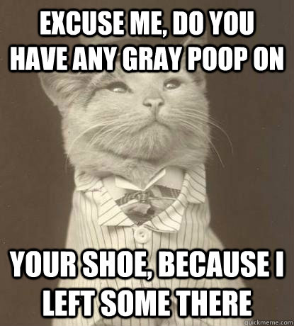 Excuse me, do you have any gray poop on your shoe, because I left some there  Aristocat
