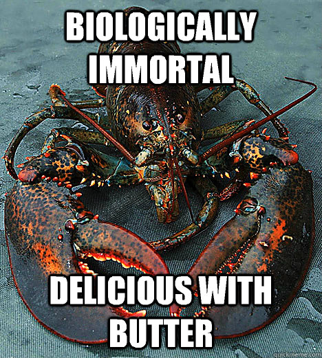 Biologically immortal Delicious with butter - Biologically immortal Delicious with butter  Bad Luck Lobster