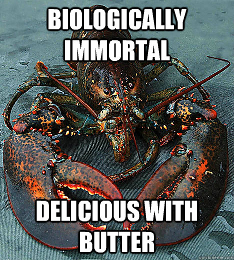 Biologically immortal Delicious with butter  