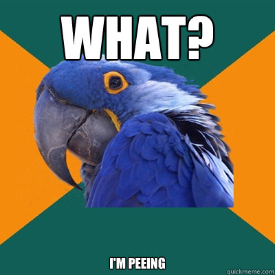 What? I'm peeing  Paranoid Parrot