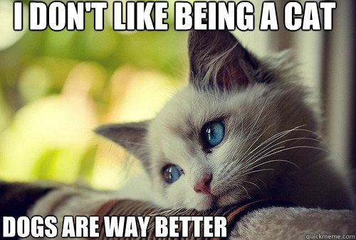 i don't like being a cat Dogs are way better  First World Problems Cat