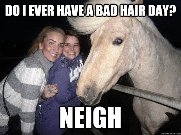 do i ever have a bad hair day? neigh - do i ever have a bad hair day? neigh  Misc