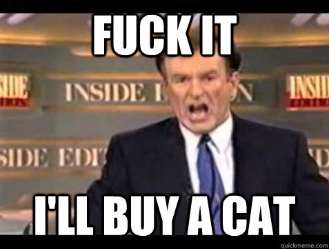 Fuck it I'll buy a cat  Bill OReilly Fuck It