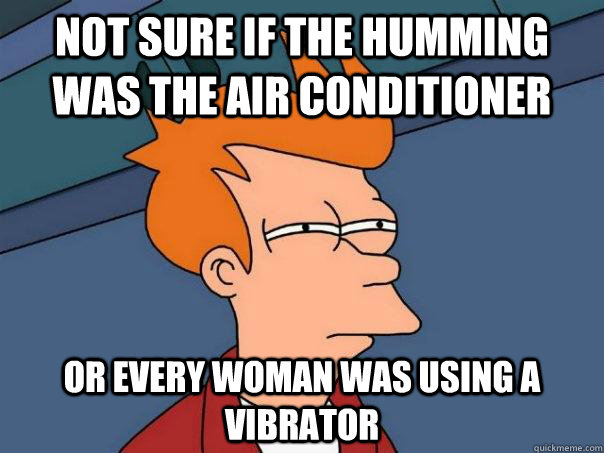 Not sure if the humming was the air conditioner Or every woman was using a vibrator  Futurama Fry