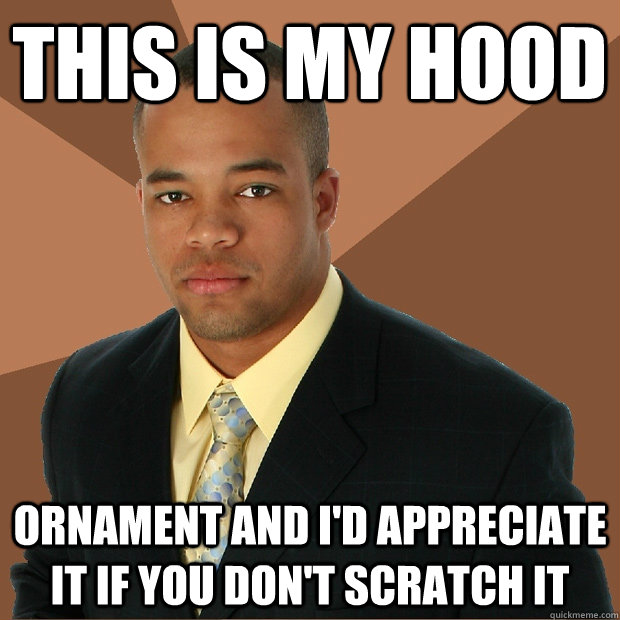 This is my hood Ornament and I'd appreciate it if you don't scratch it  Successful Black Man