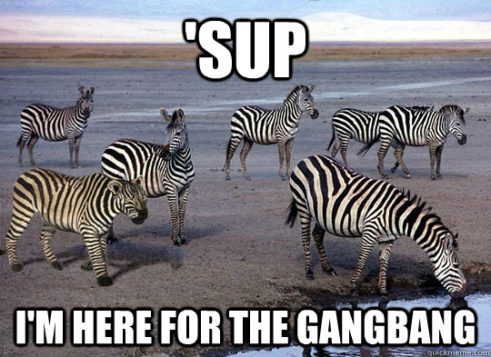 'sup i'm here for the gangbang - 'sup i'm here for the gangbang  Zebra Lion