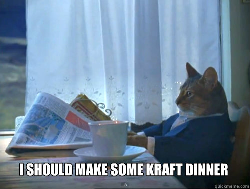 I should make some kraft dinner  - I should make some kraft dinner   1% Cat