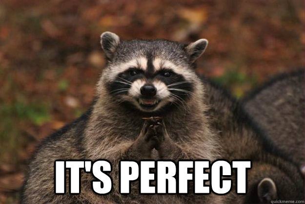  It's perfect  Evil Plotting Raccoon