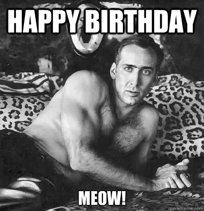 Happy Birthday Meow!  Happy Birthday Nick Cage