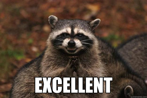  EXCELLENT  Evil Plotting Raccoon