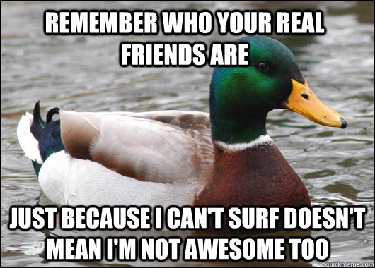 Remember who your Real friends are Just because I can't surf doesn't mean I'm not awesome too  Actual Advice Mallard
