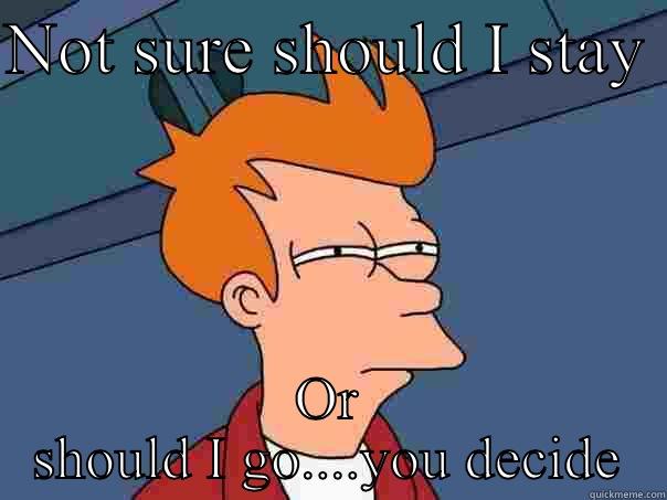 NOT SURE SHOULD I STAY  OR SHOULD I GO....YOU DECIDE Futurama Fry