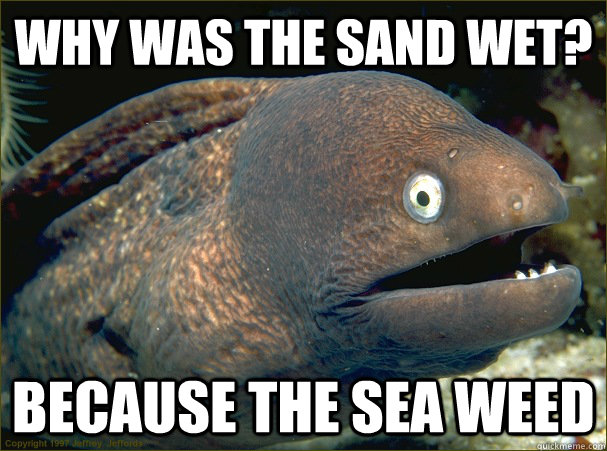 why was the sand wet? because the sea weed - why was the sand wet? because the sea weed  Bad Joke Eel