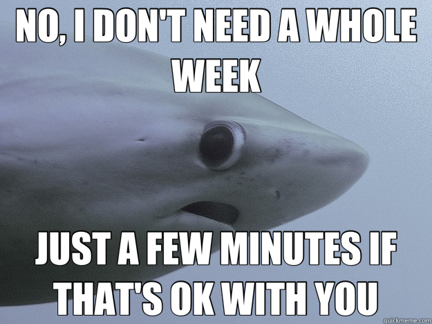 NO, I DON'T NEED A WHOLE WEEK JUST A FEW MINUTES IF THAT'S OK WITH YOU - NO, I DON'T NEED A WHOLE WEEK JUST A FEW MINUTES IF THAT'S OK WITH YOU  Scaredy Shark