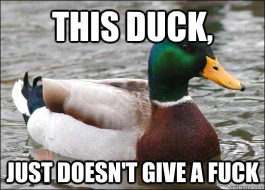 This duck, Just doesn't give a fuck  Actual Advice Mallard