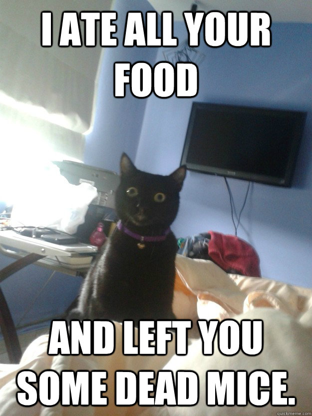 I ate all your food and left you some dead mice.  overly attached cat