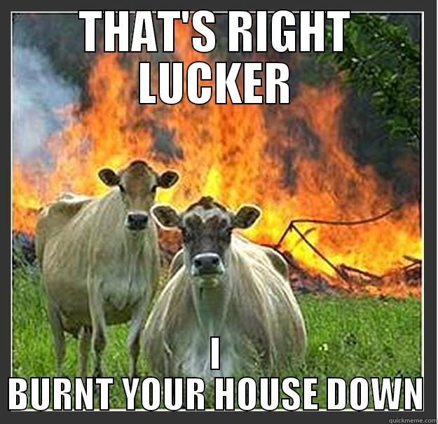 Still A Dick - THAT'S RIGHT LUCKER I BURNT YOUR HOUSE DOWN Evil cows