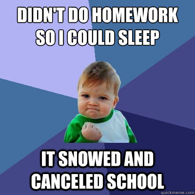 didn't do homework so i could sleep it snowed and canceled school  Success Kid