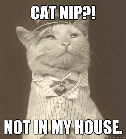 Cat Nip?! Not in my house.  Aristocat