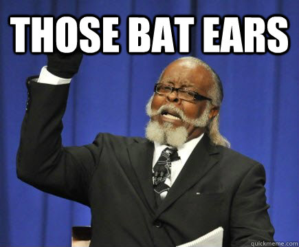 those bat ears   Too Damn High