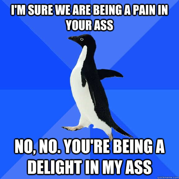 I'm sure we are being a pain in your ass No, no. You're being a delight in my ass  Socially Awkward Penguin