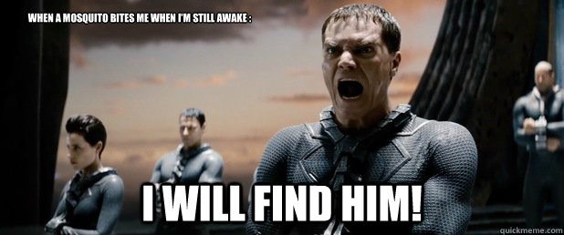 When a mosquito bites me when I'm still awake : I WILL FIND HIM!  General Zod