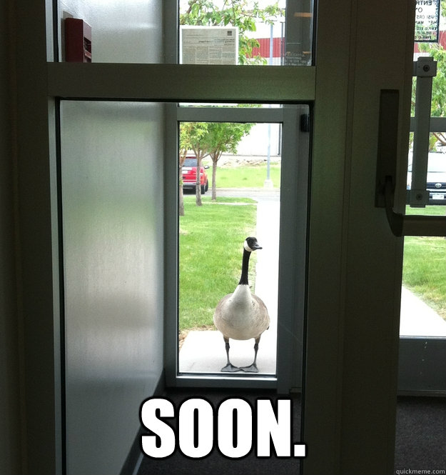  Soon.  soon Goose