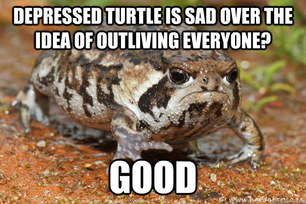 Depressed Turtle is sad over the idea of outliving everyone? Good - Depressed Turtle is sad over the idea of outliving everyone? Good  Negative Toad